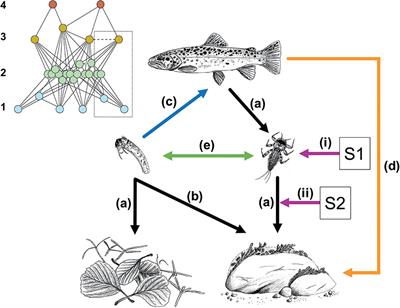 The Importance of Ecological Networks in Multiple-Stressor Research and Management